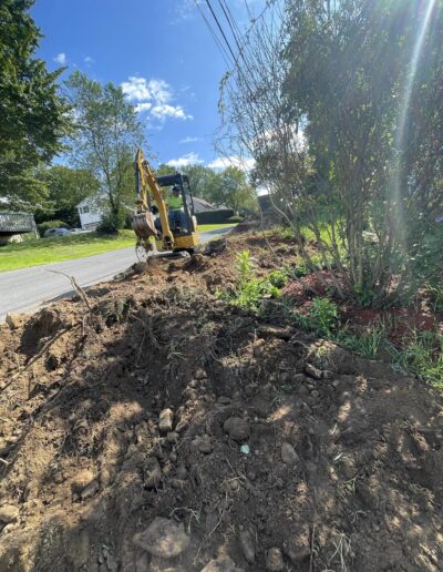 Tree Removal Waterbury CT
