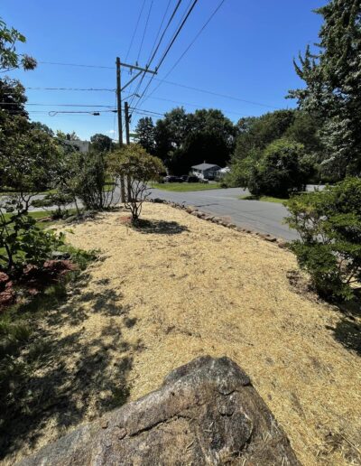 Tree Removal Services CT