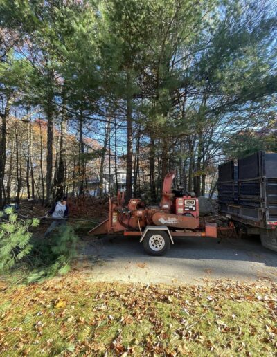 Martinez Tree Work Wilton