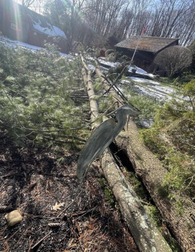 landscaping services near me