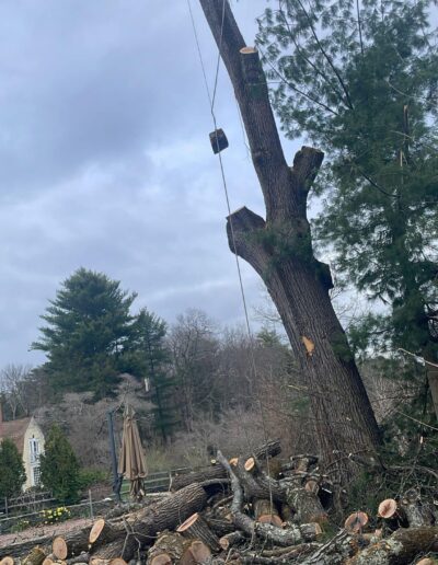 landscaping services near me