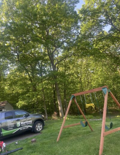 Expert Tree Service for Residential Properties