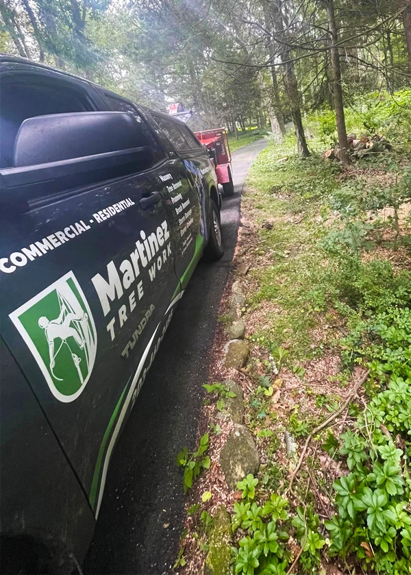 Martinez Tree Work CT