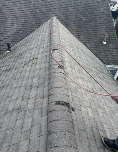 Martinez tree services near me weston