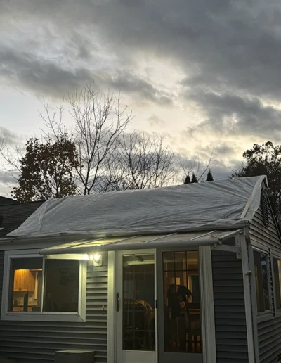 Martinez tree services near me new haven