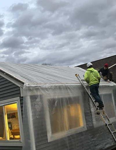 Martinez tree services near Stratford