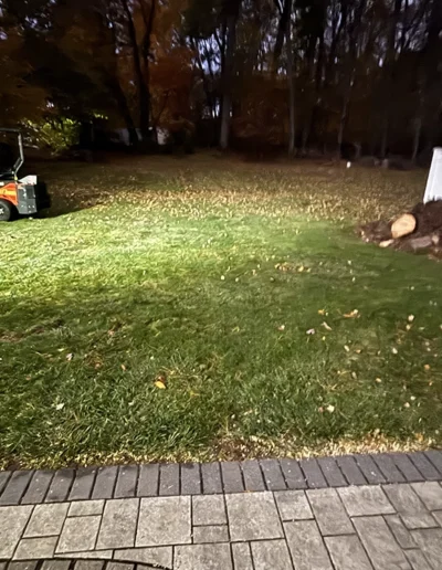 Martinez tree services near shelton