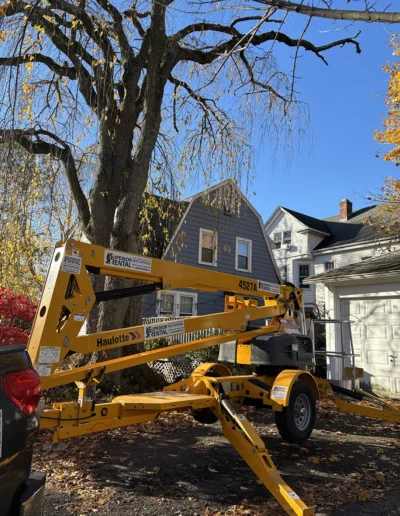 Martinez tree services near Burlington
