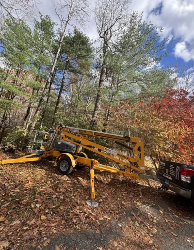 Martinez tree services near norwalk