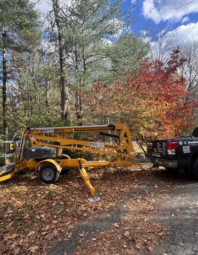 Martinez tree services near westport