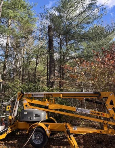 Martinez tree services near rowayton