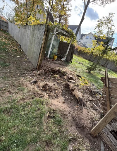 Martinez tree services near yout location